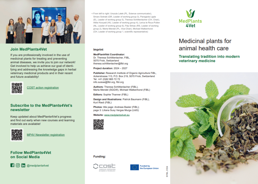 Flyer: Medicinal plants for animals health care