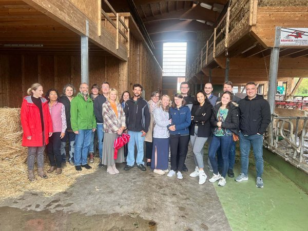 Visitor group in a stable with it’s Swiss Fleckvieh herd.